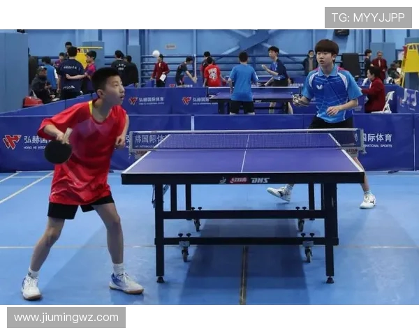 乒乓球运动的魅力与发展探究从竞技精神到全民健身的深度解析